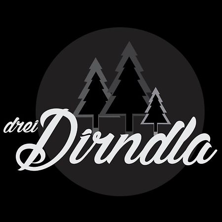 Апартаменти Drei Dirndla Шладмінг Екстер'єр фото